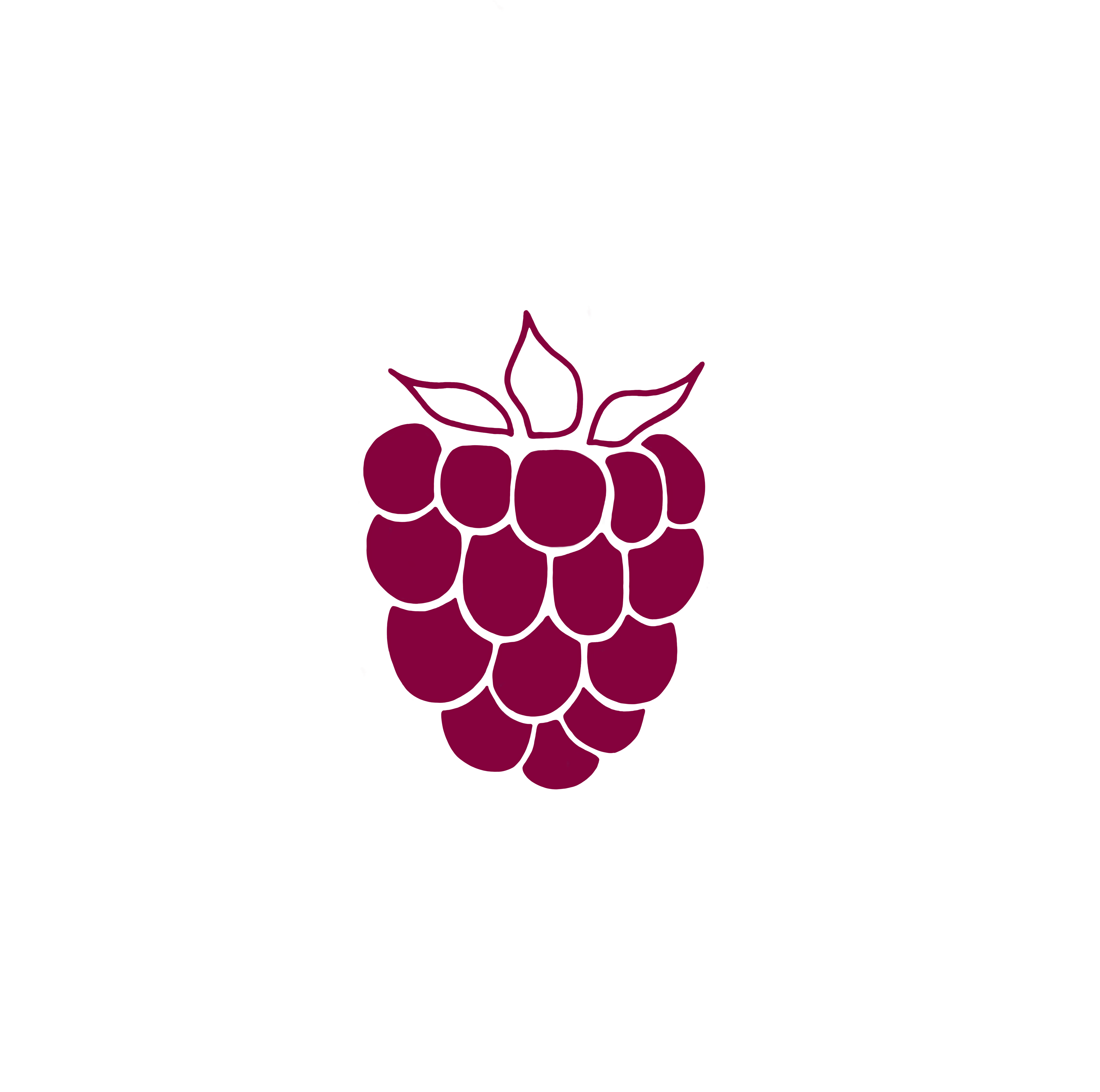 Berry Logo