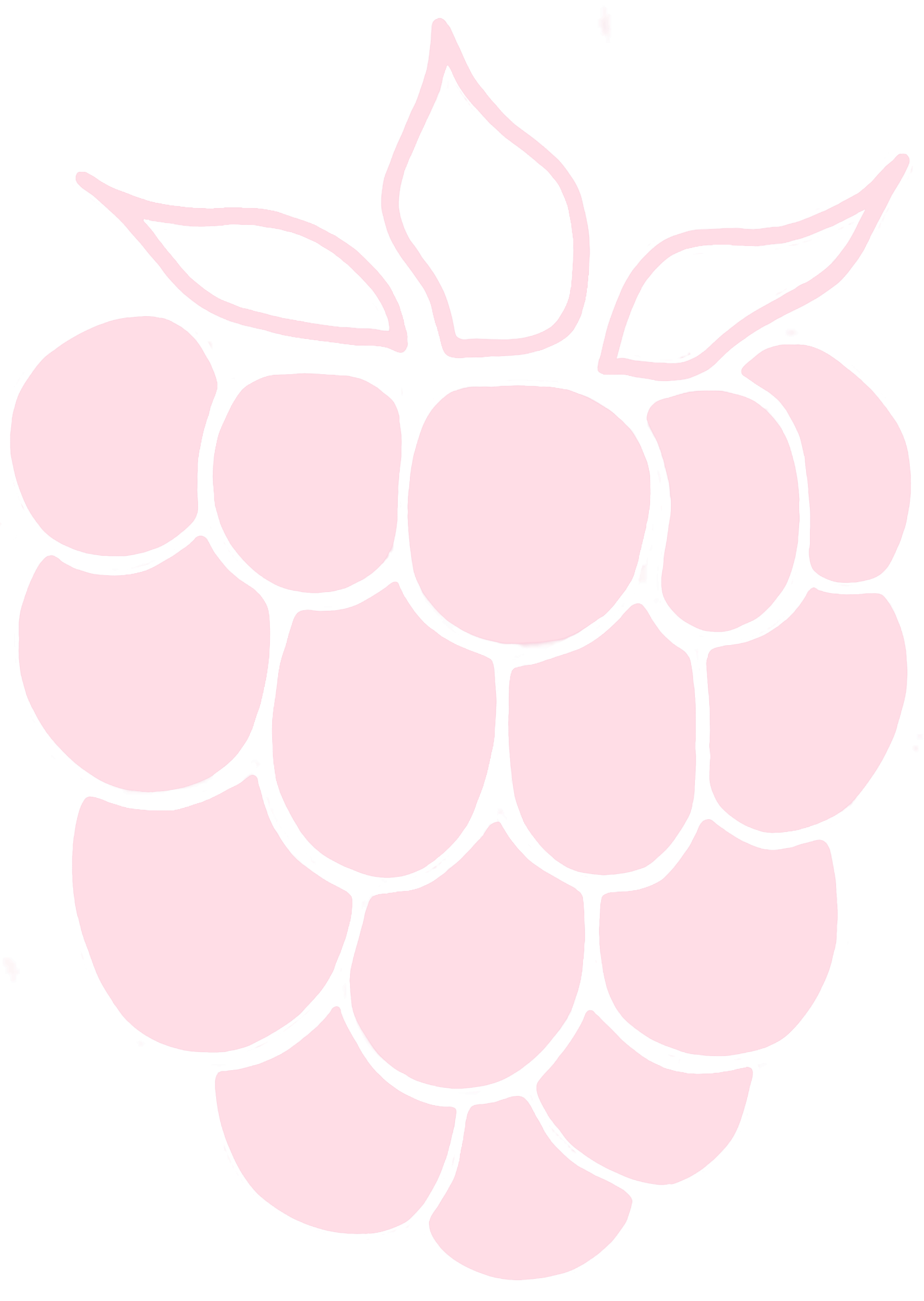 Berry Logo